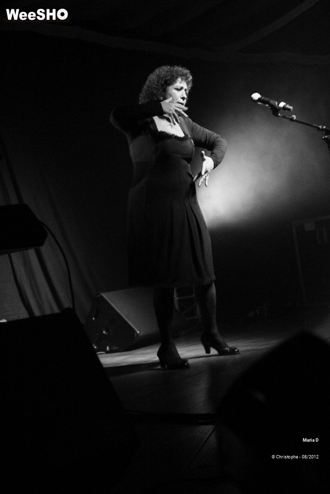 19/21 photos du spectacle Maria D (Tribute to Piaf)