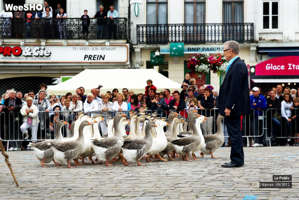 15/34 photos du spectacle Fête de l'Andouille Ambiance