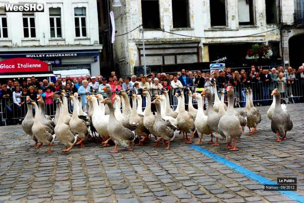 22/34 photos du spectacle Fête de l'Andouille Ambiance