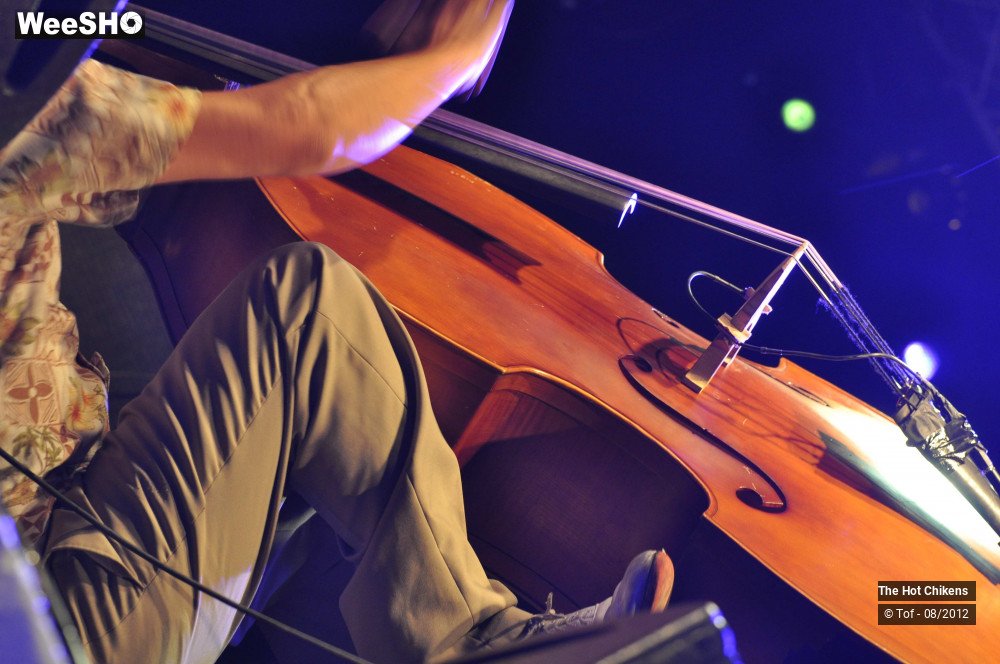 11/32 photos du spectacle The Hot Chikens 