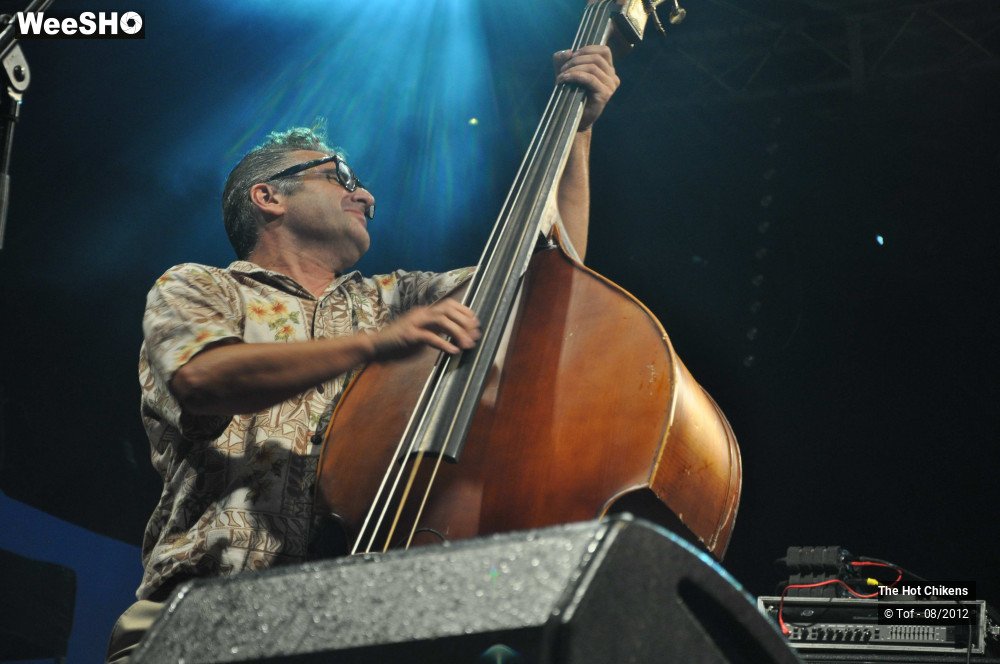 15/32 photos du spectacle The Hot Chikens 