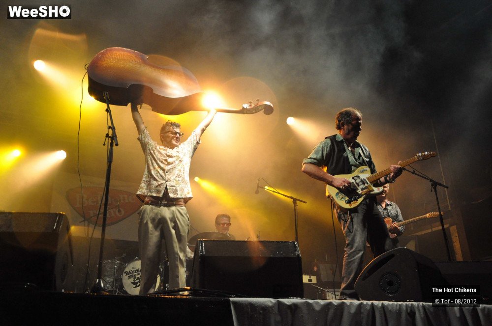 16/32 photos du spectacle The Hot Chikens 