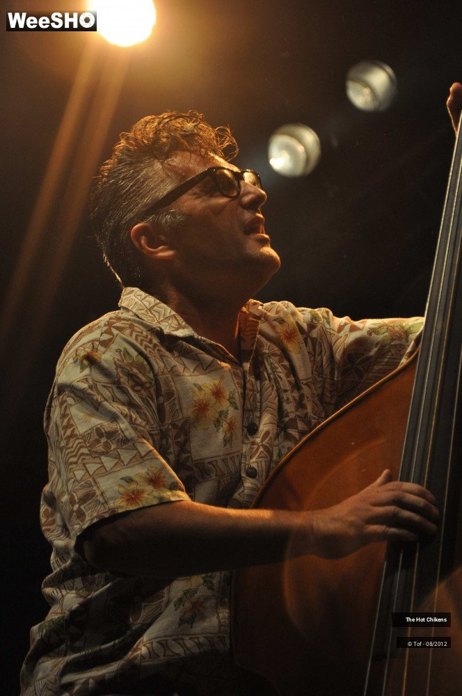 27/32 photos du spectacle The Hot Chikens 