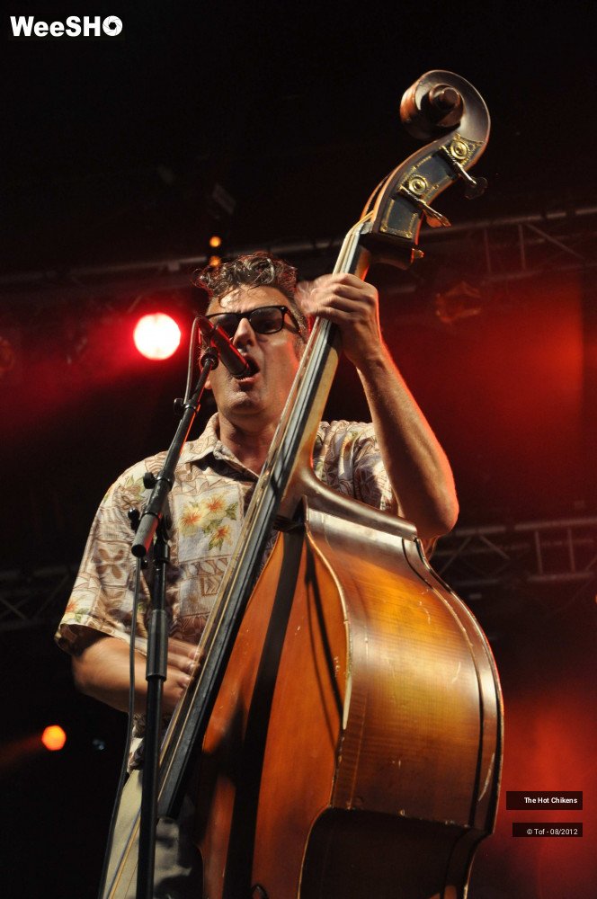 29/32 photos du spectacle The Hot Chikens 