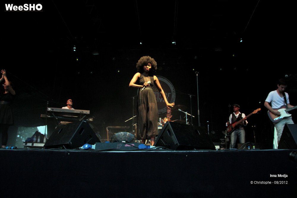 13/29 photos du spectacle Inna Modja