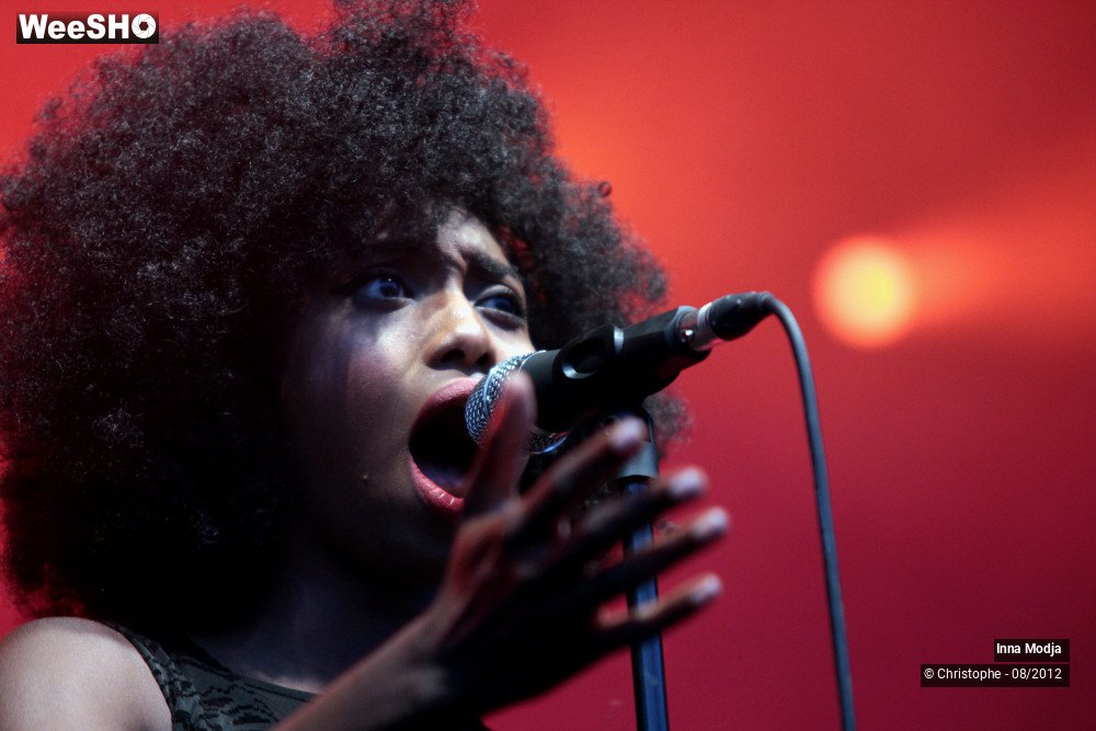 14/29 photos du spectacle Inna Modja
