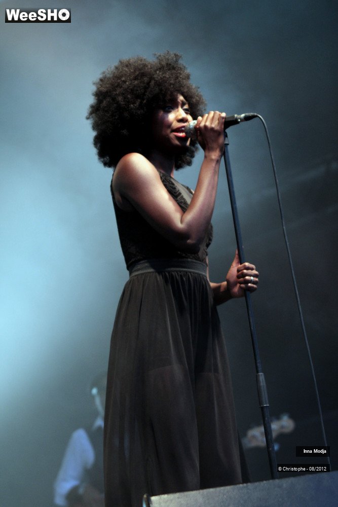 20/29 photos du spectacle Inna Modja