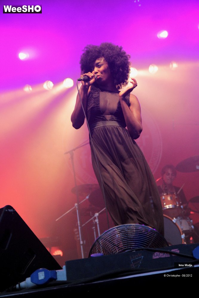 26/29 photos du spectacle Inna Modja