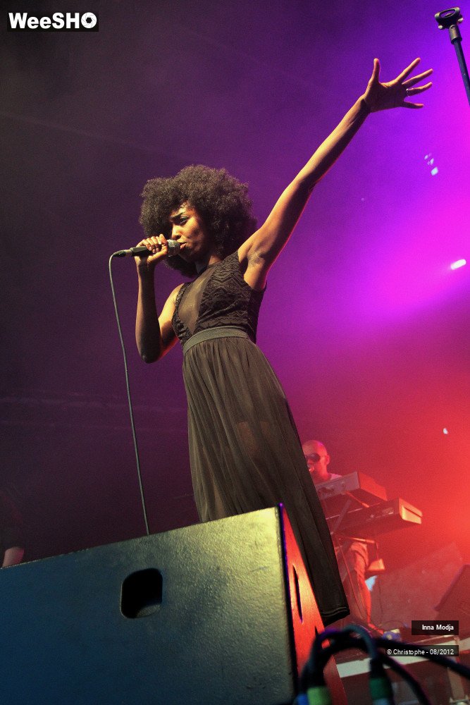 27/29 photos du spectacle Inna Modja