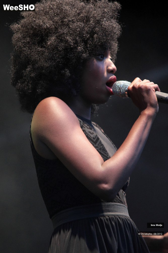 29/29 photos du spectacle Inna Modja