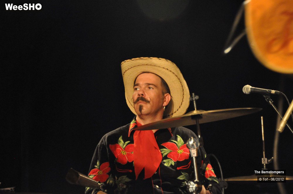 5/20 photos du spectacle The Barnstompers  
