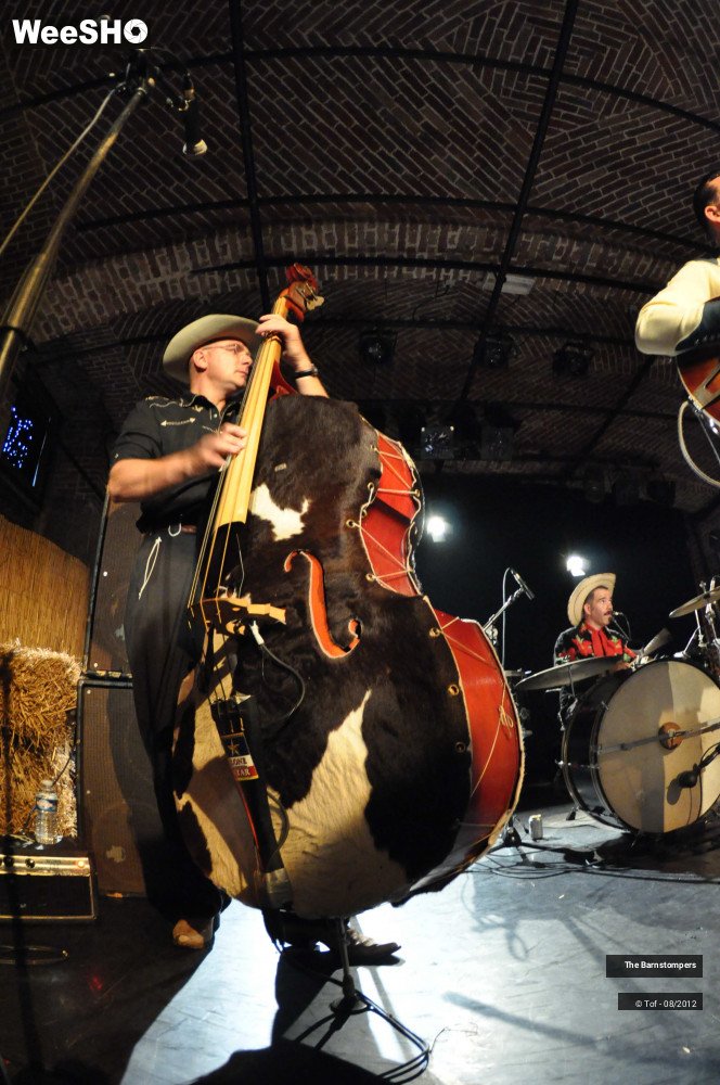 12/20 photos du spectacle The Barnstompers  