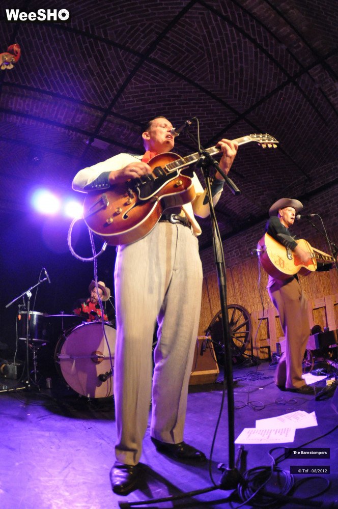 13/20 photos du spectacle The Barnstompers  