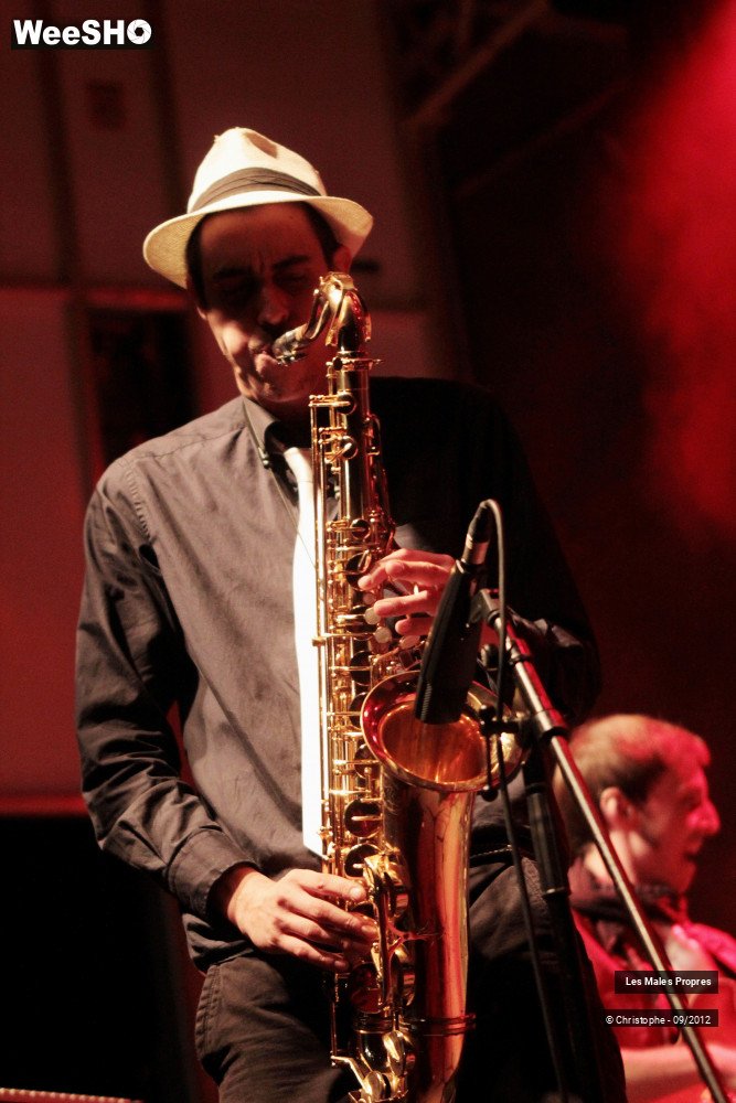 11/14 photos du spectacle Les Males Propres