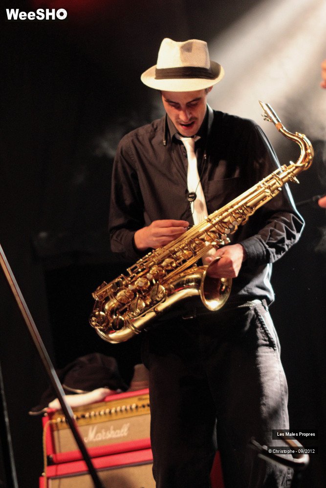 12/14 photos du spectacle Les Males Propres