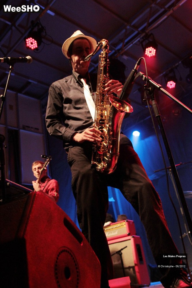 13/14 photos du spectacle Les Males Propres