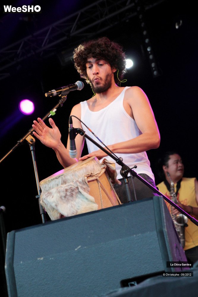 20/33 photos du spectacle La Chiva Gantiva