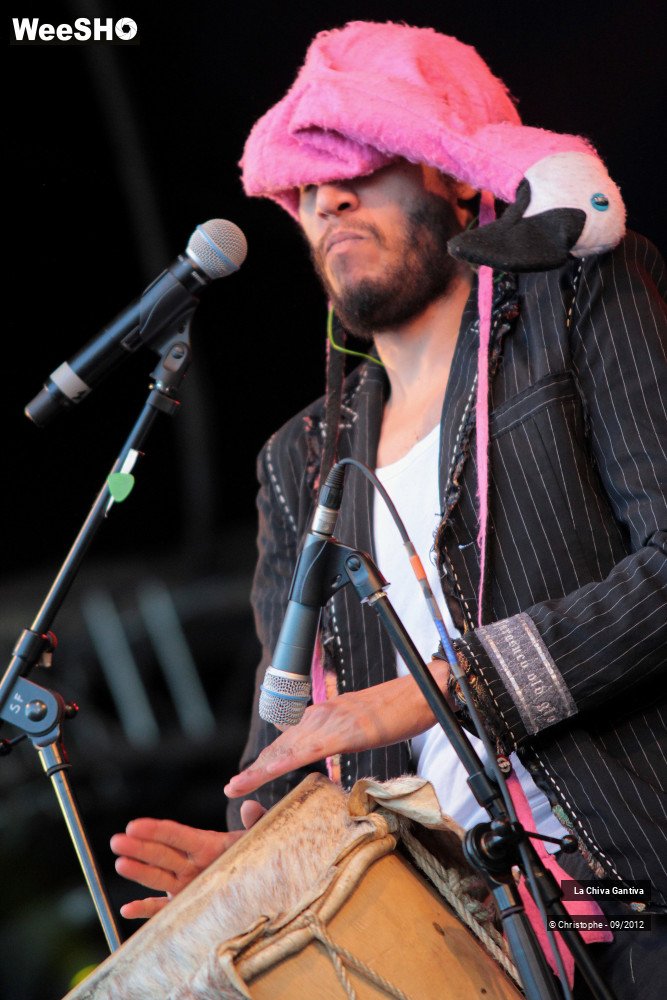 27/33 photos du spectacle La Chiva Gantiva