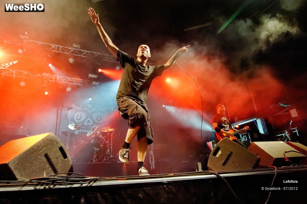 28/41 photos du spectacle Lofofora