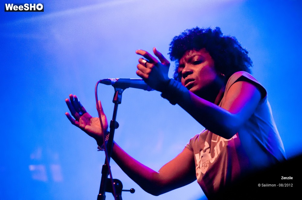 13/21 photos du spectacle Zenzile