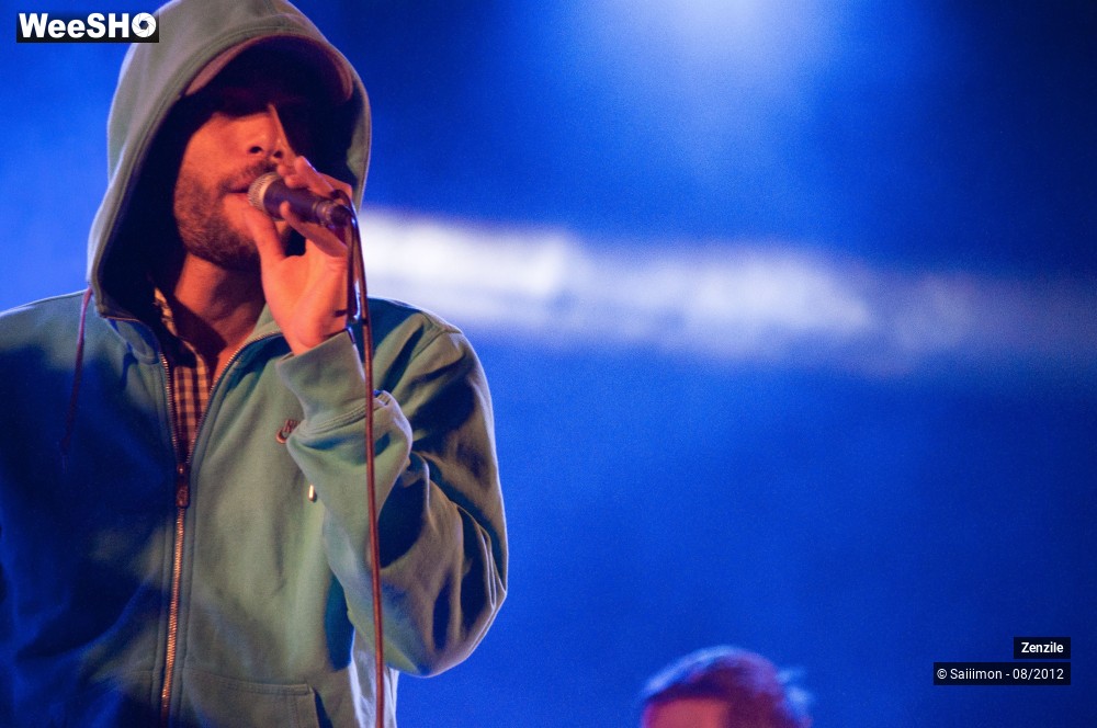 18/21 photos du spectacle Zenzile