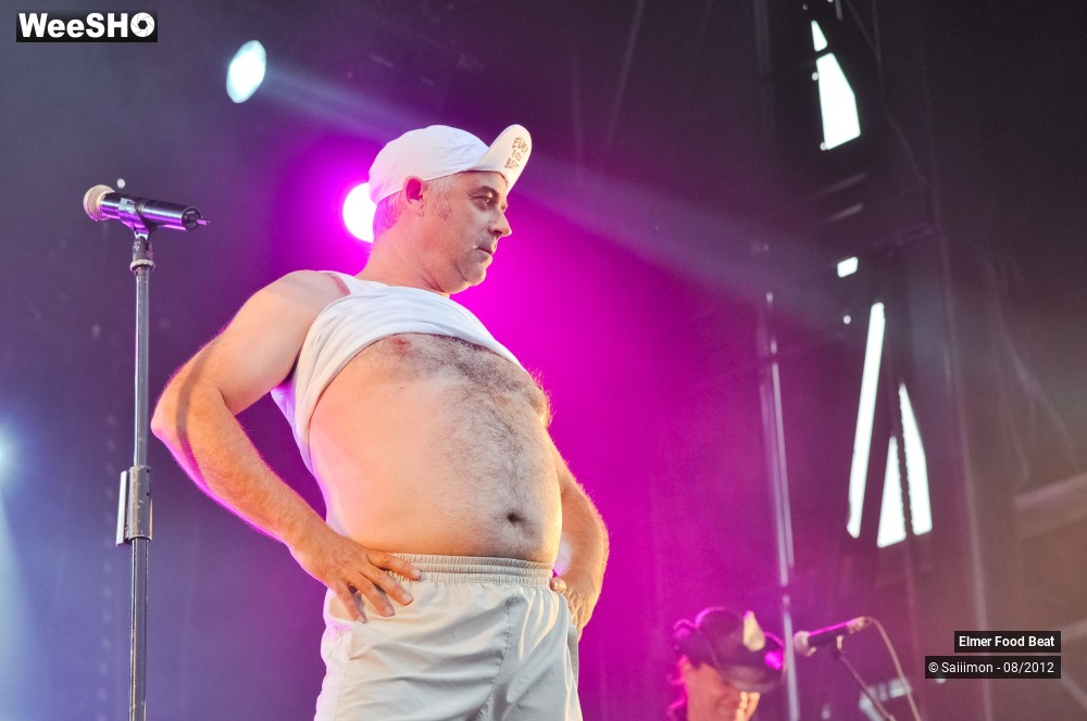 25/41 photos du spectacle Elmer Food Beat