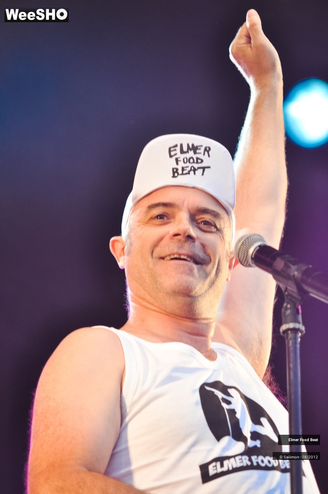 26/41 photos du spectacle Elmer Food Beat