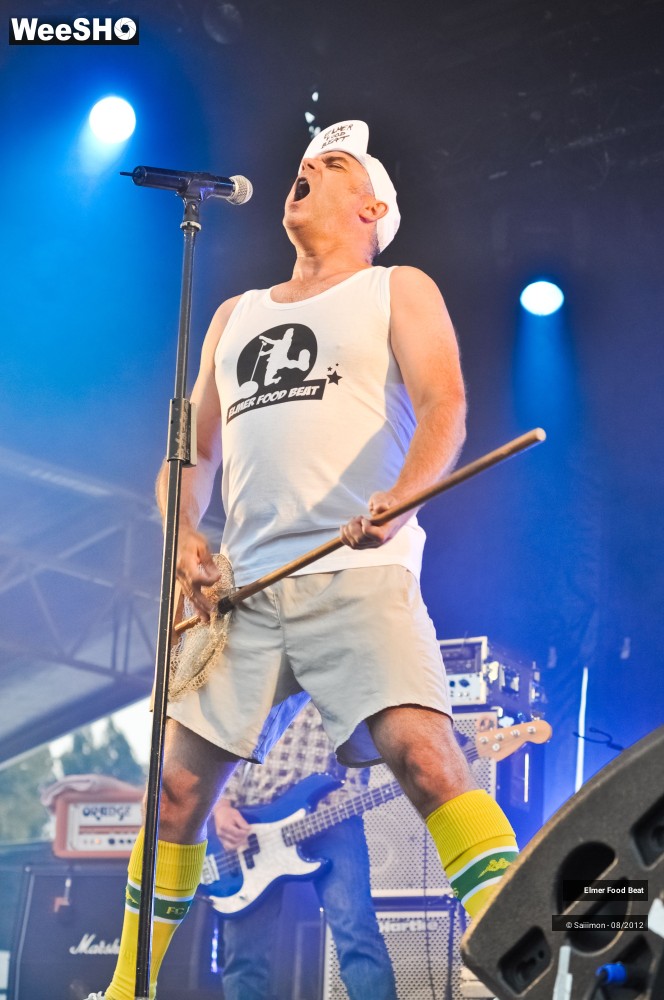 34/41 photos du spectacle Elmer Food Beat