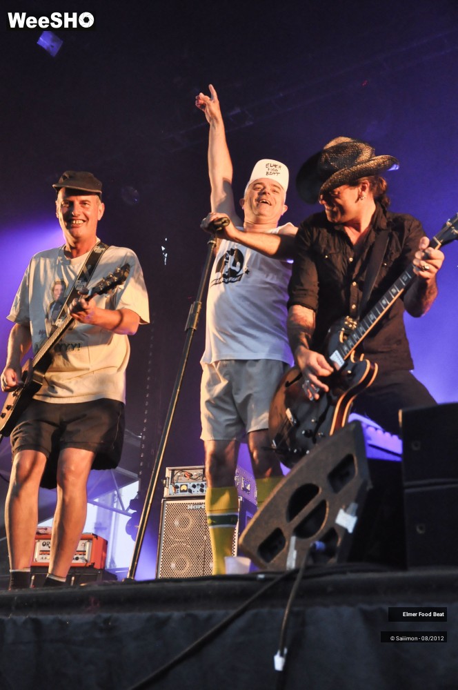 38/41 photos du spectacle Elmer Food Beat
