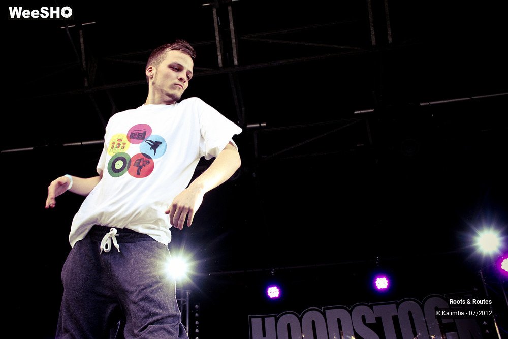 1/42 photos du spectacle Roots & Routes 2012