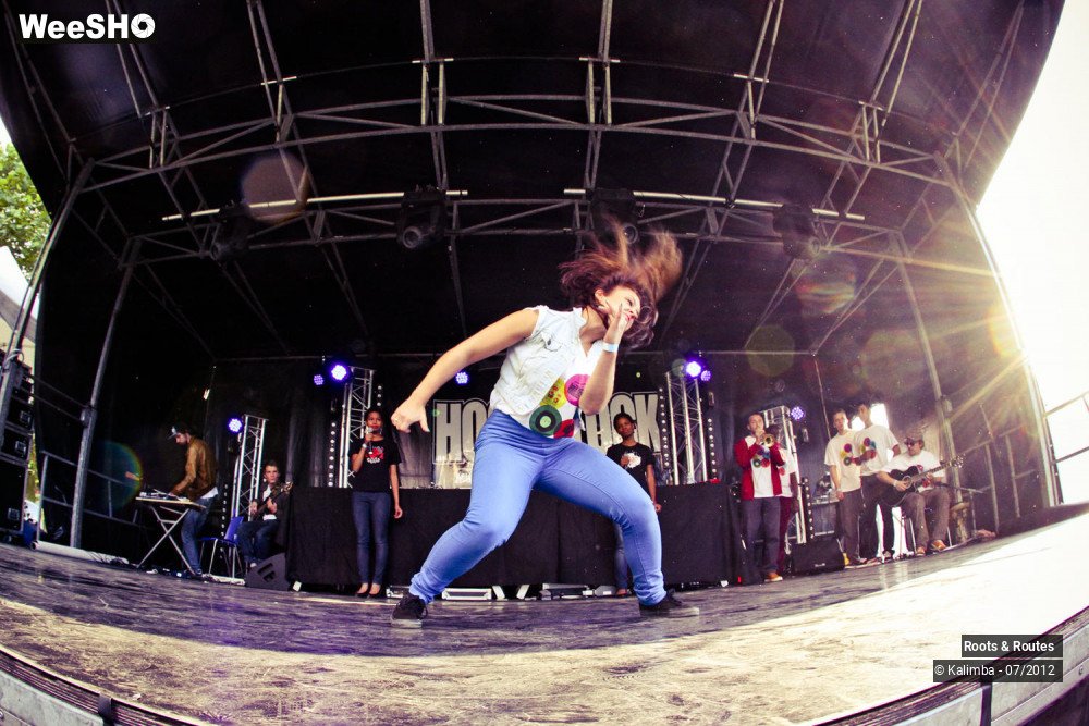 3/42 photos du spectacle Roots & Routes 2012