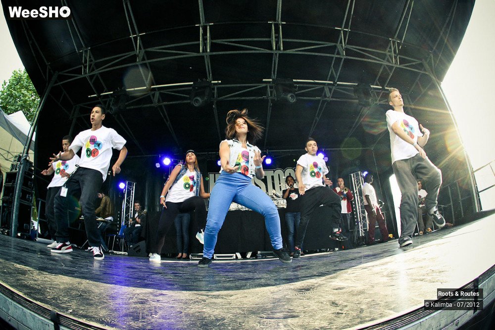 4/42 photos du spectacle Roots & Routes 2012