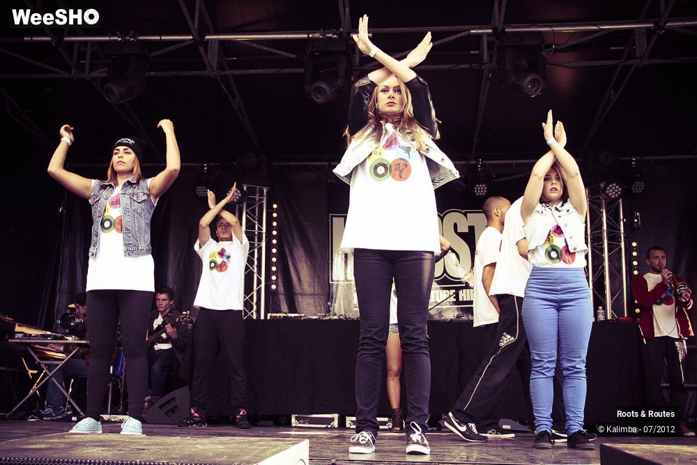 5/42 photos du spectacle Roots & Routes 2012