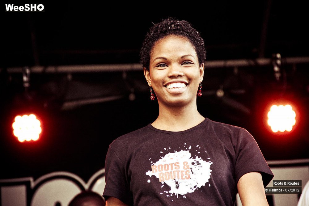 6/42 photos du spectacle Roots & Routes 2012