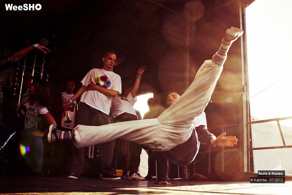 7/42 photos du spectacle Roots & Routes 2012