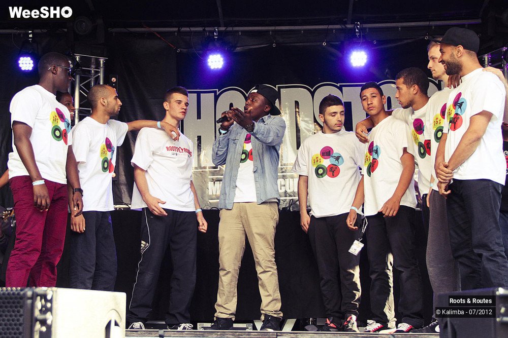 8/42 photos du spectacle Roots & Routes 2012