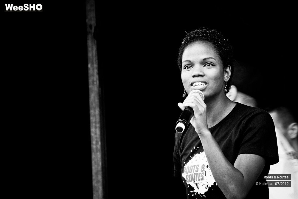 10/42 photos du spectacle Roots & Routes 2012