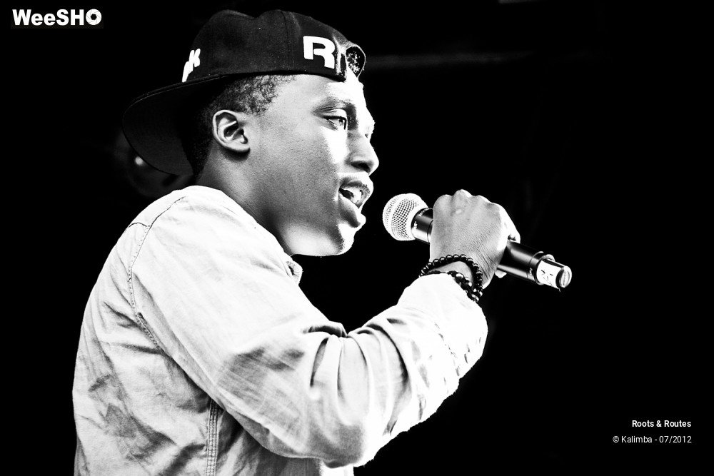 11/42 photos du spectacle Roots & Routes 2012