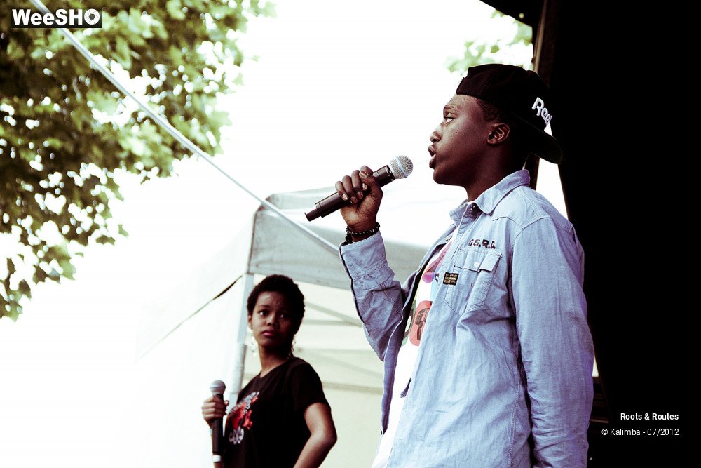 12/42 photos du spectacle Roots & Routes 2012