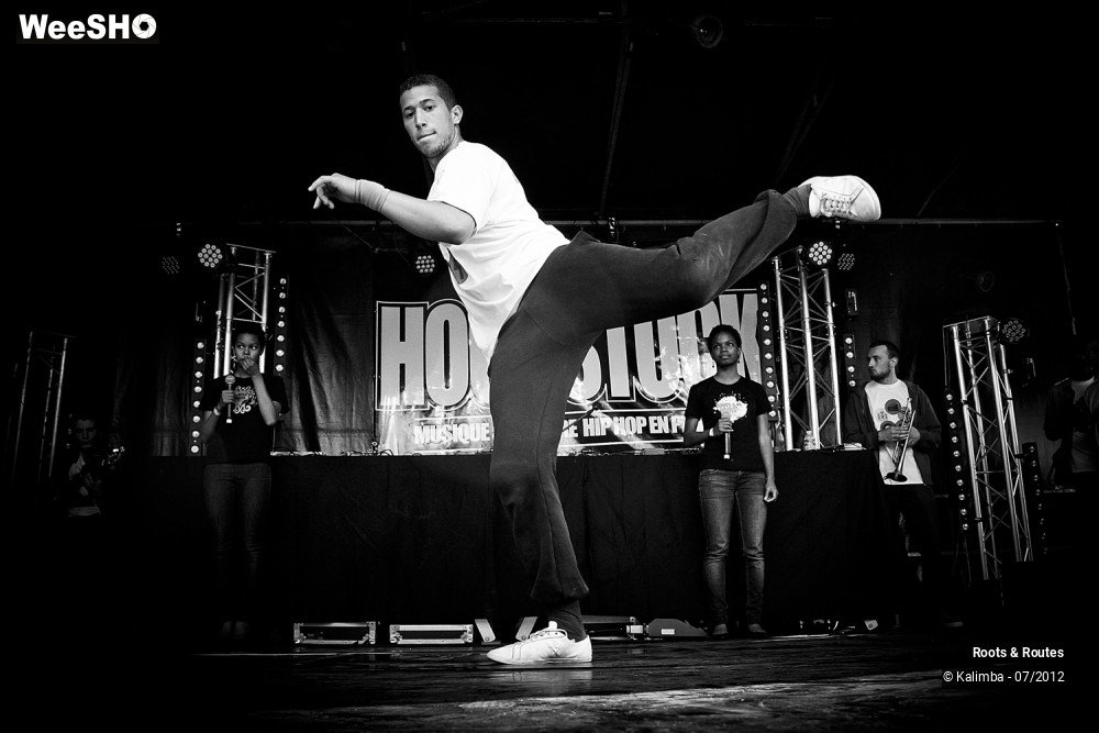 13/42 photos du spectacle Roots & Routes 2012