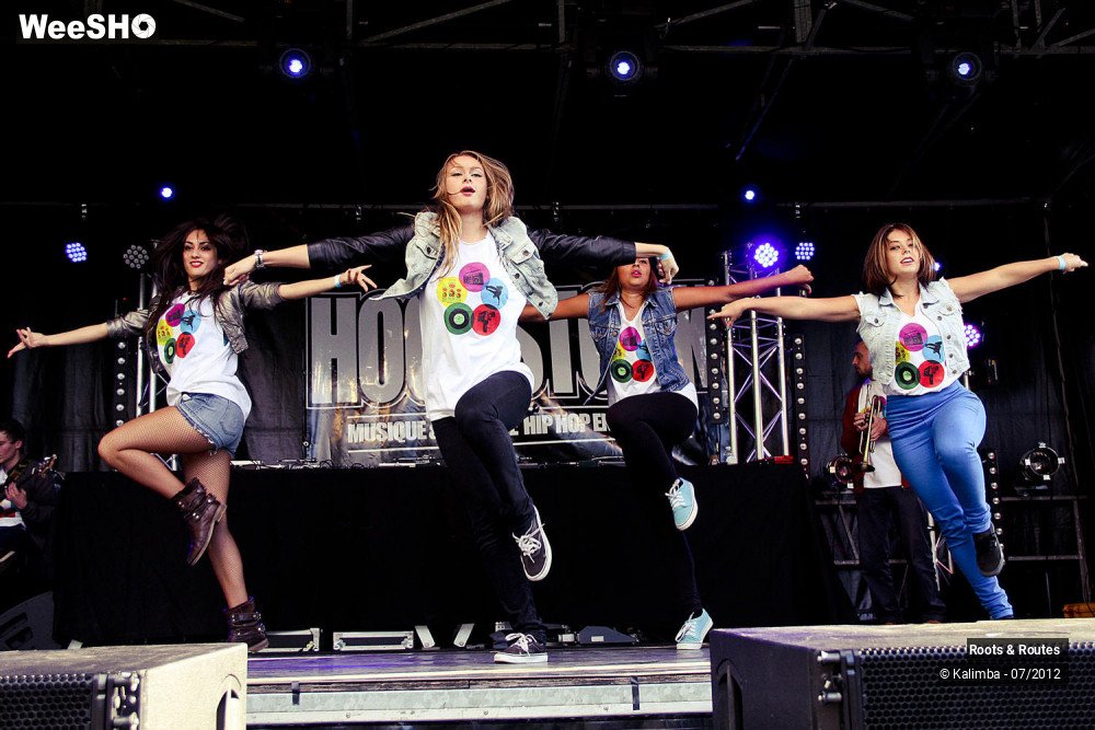 15/42 photos du spectacle Roots & Routes 2012