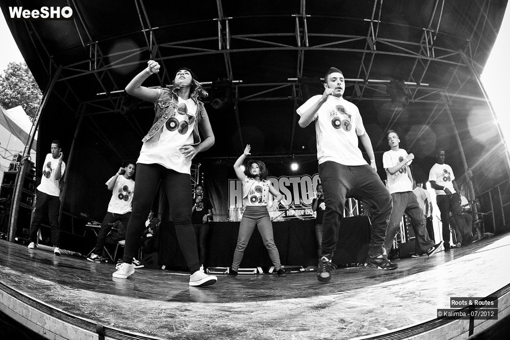 16/42 photos du spectacle Roots & Routes 2012