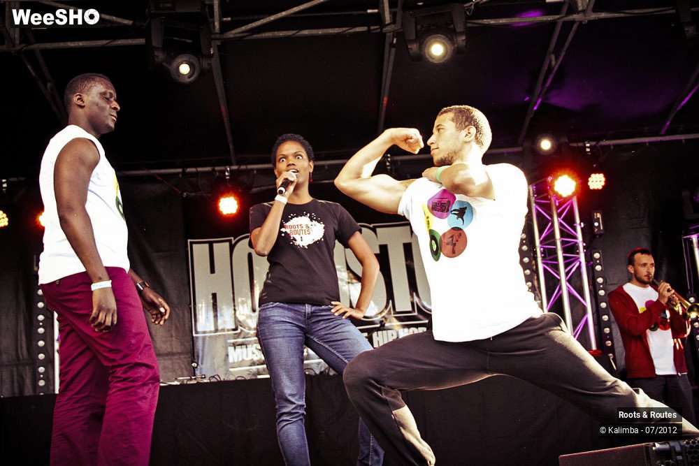 17/42 photos du spectacle Roots & Routes 2012