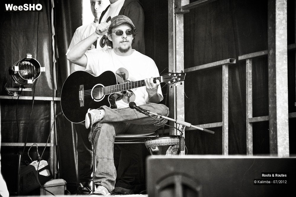 18/42 photos du spectacle Roots & Routes 2012