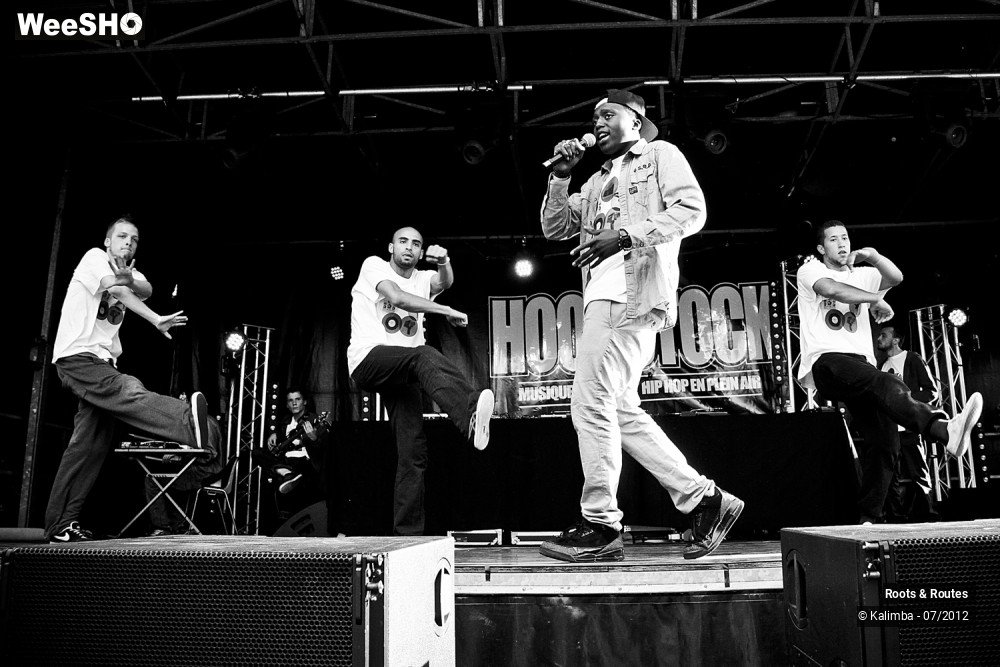 19/42 photos du spectacle Roots & Routes 2012