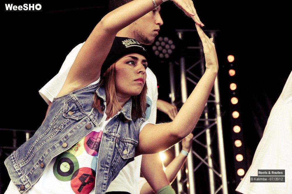 20/42 photos du spectacle Roots & Routes 2012