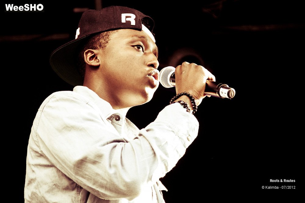 24/42 photos du spectacle Roots & Routes 2012