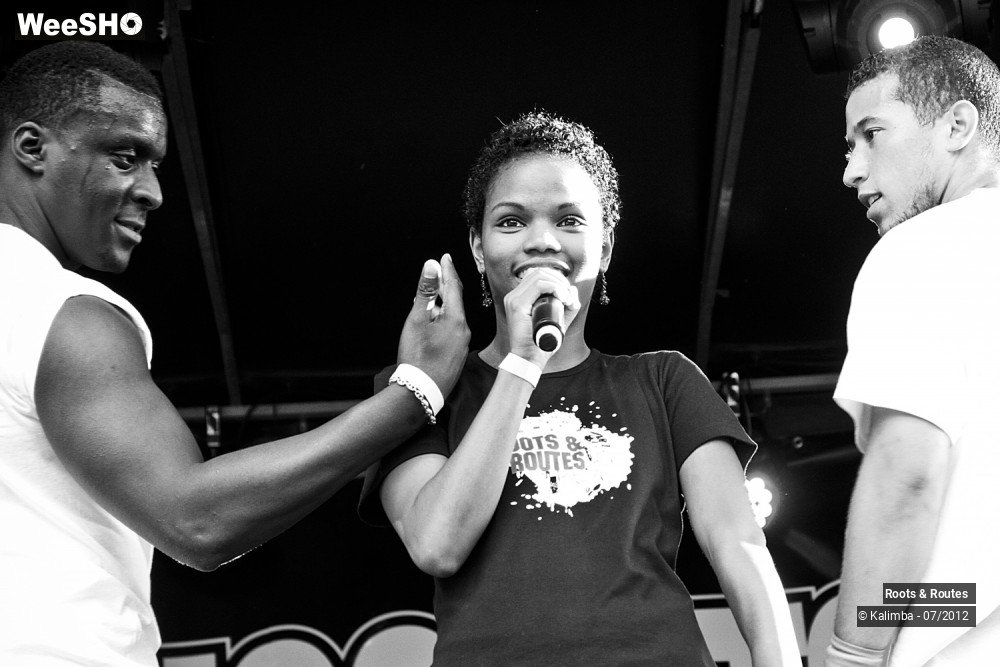 25/42 photos du spectacle Roots & Routes 2012