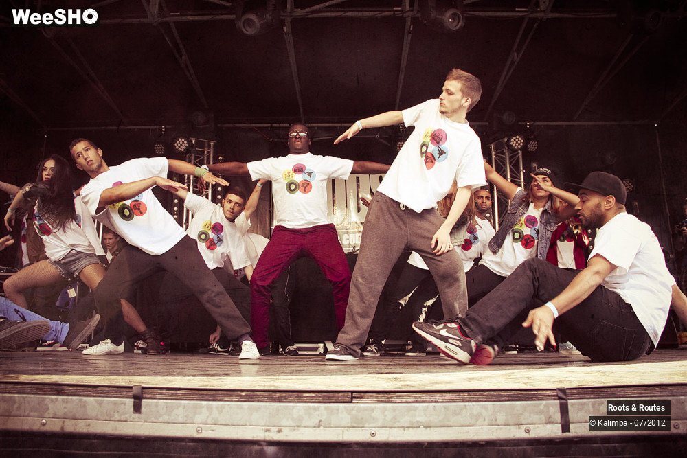 26/42 photos du spectacle Roots & Routes 2012