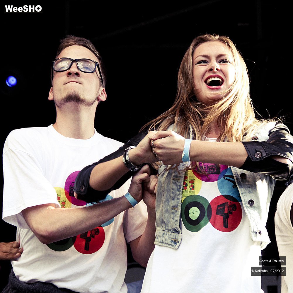 28/42 photos du spectacle Roots & Routes 2012